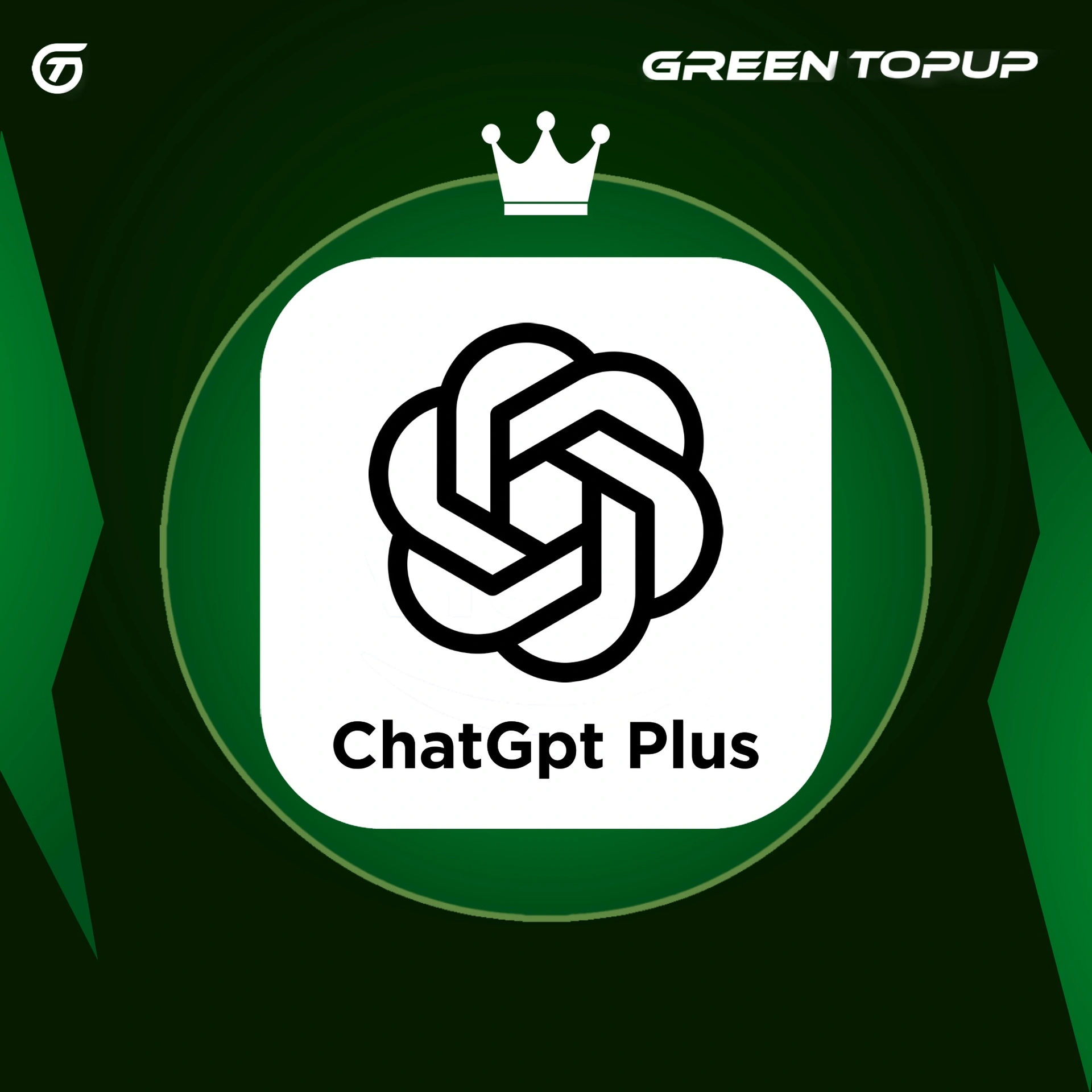 ChatGpt Pro