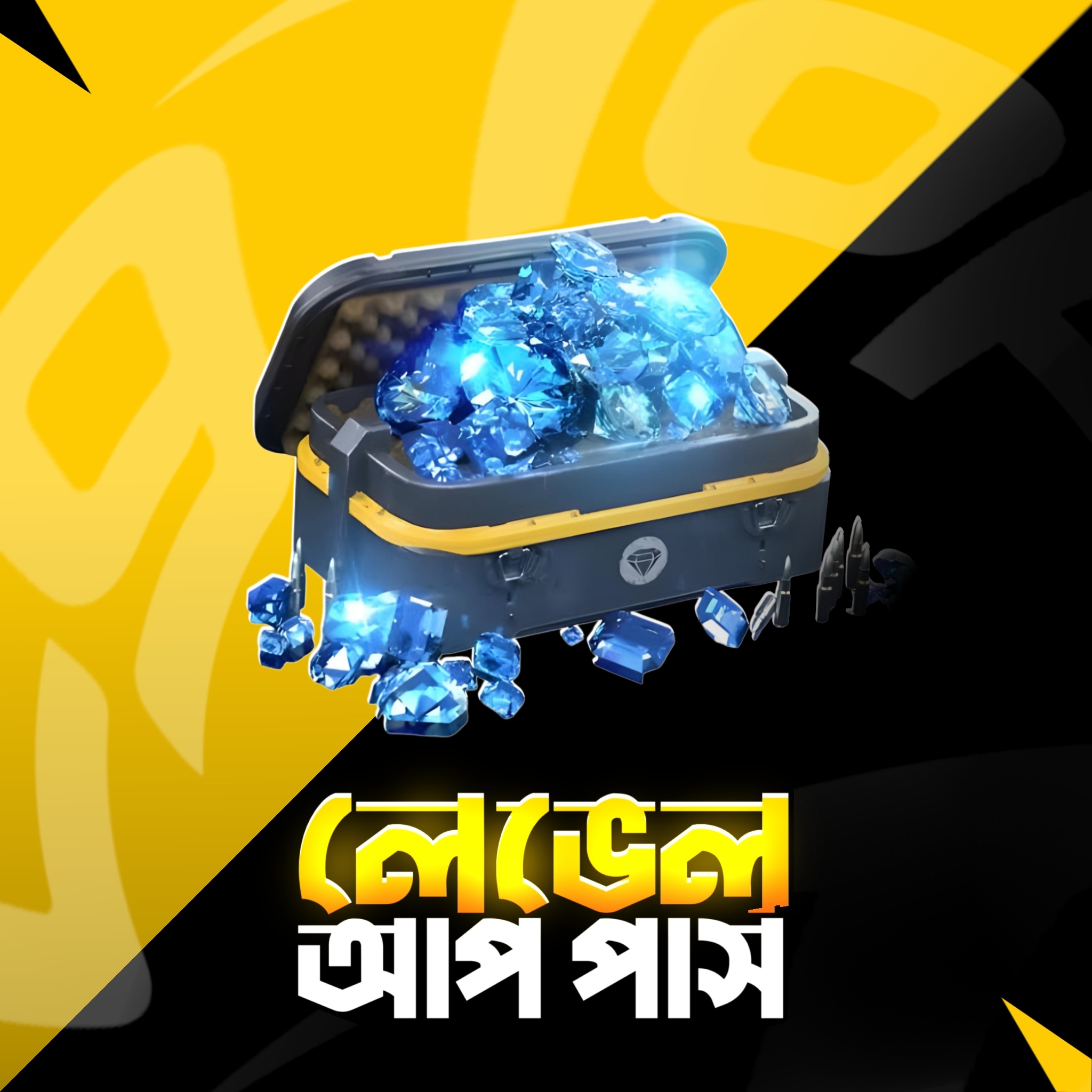 Level Up Packages