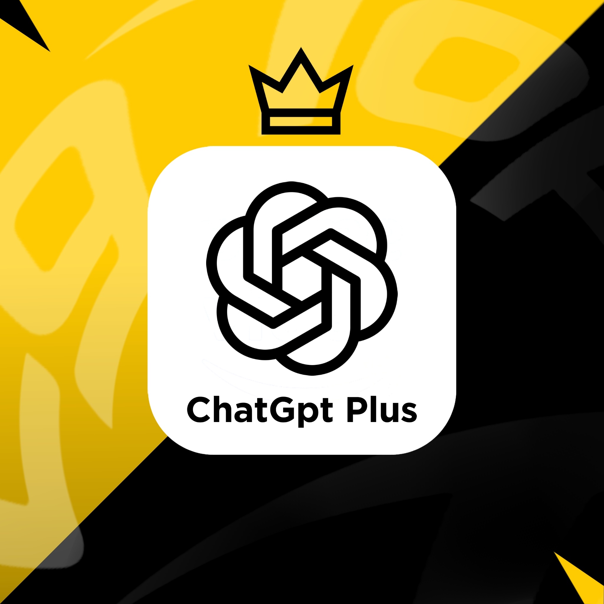 ChatGpt Pro